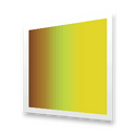 Yellow 11